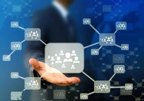 人口流失與技術(shù)變革 30萬臨時居民撤離與人工智能應用軟件開發(fā)的交織影響